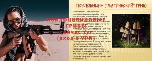 каннабис Алзамай