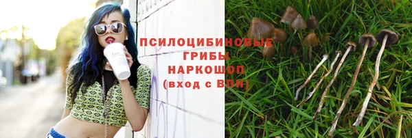 крисы Алексин