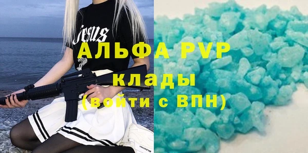 крисы Алексин